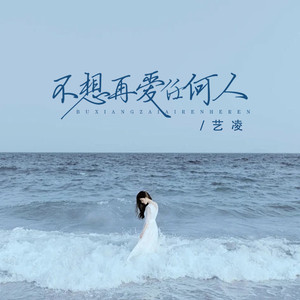 不想再爱任何人 (DJ锋仔版)