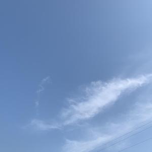 歌曲《防疫家训》演唱：柳茹 词曲：李彬