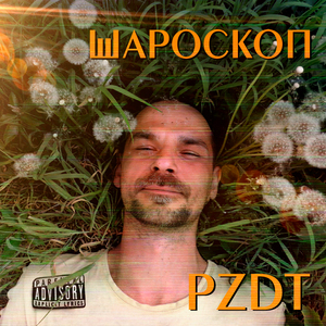 PZDT