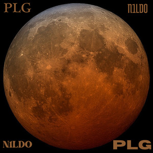 Plg