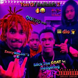Ton Of Bullshit 2 (feat. Q, Slick The Goat Hedgehog & lil dio)