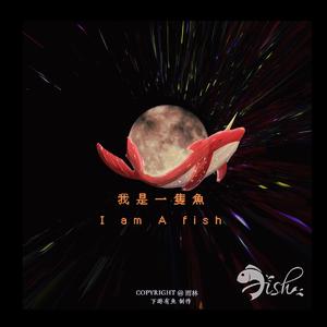 我是一只鱼