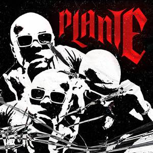 Plante