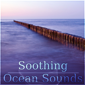 Grasshoppers (Deep Sleep)