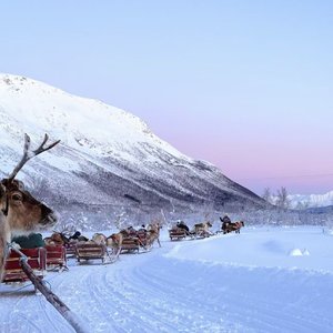 现代社会的行尸走肉