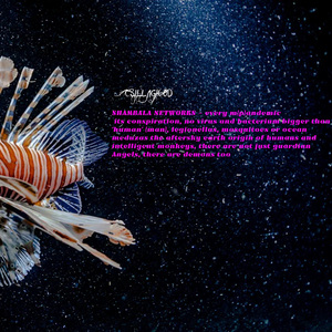 carbonbased deepocean plants and trees