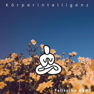 Körperintelligenz