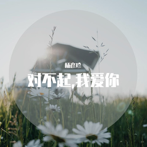 对不起 我爱你 MIX5（翻自 1983組合）