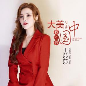 大美中国我的爱 (DJ何鹏版)