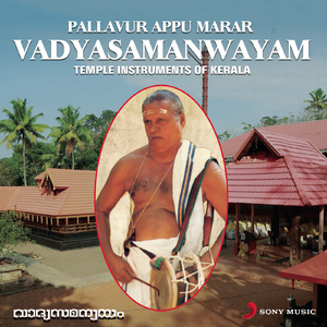 Vadyasamanwayam (Jugalbandi)