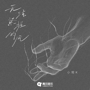 无法紧握的风