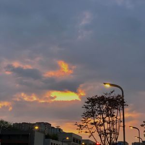 贼（翻自戴佩妮）