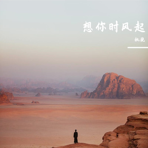 想你时风起