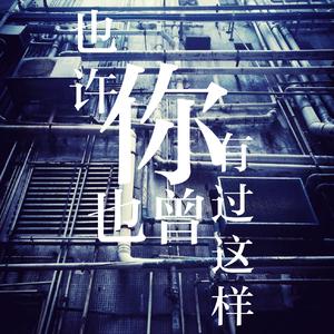 《也许，你也曾有过这样》