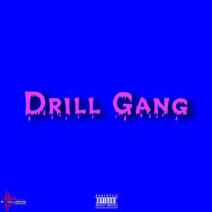 Drill gang