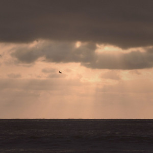 うつろふ面影のうちに