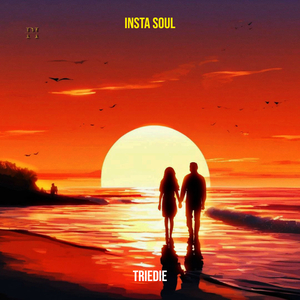 Insta Soul