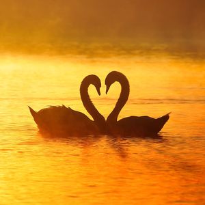 я вас любил