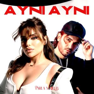 AYNI AYNI