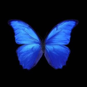 【free】“蝶”河南说唱之神 X UK Garage Type Beat