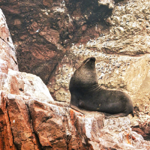 二人の恋の物語