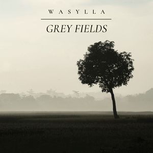 Grey Fields