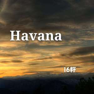 Havana(原唱J.Fla）