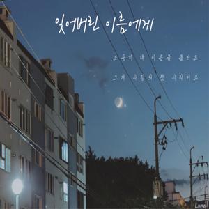 잊어버린 이름에게