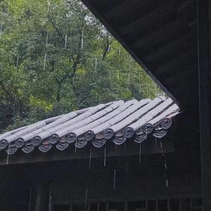 烟雨行舟