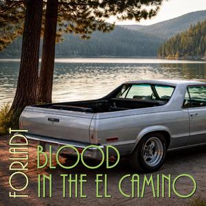 Blood in the El Camino
