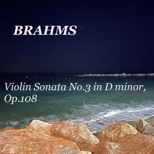 Violin Sonata No. 3 in D Minor, Op. 108: 1. Allegro