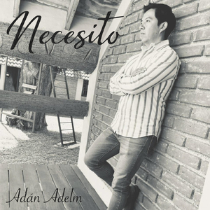 Necesito