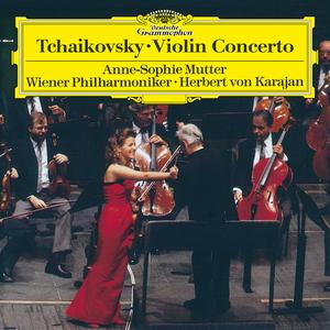 Violin Concerto, Op. 35:I. Allegro moderato