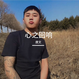 心之回响 伴奏