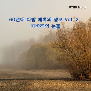 명동의 숲