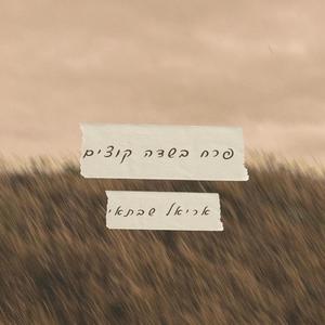 פרח בשדה קוצים