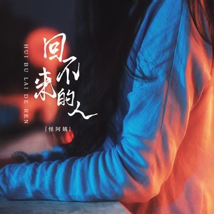 回不来的人 (DJheap九天版)