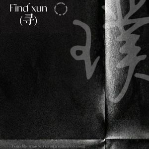 Find 寻 （prod.by 澜）