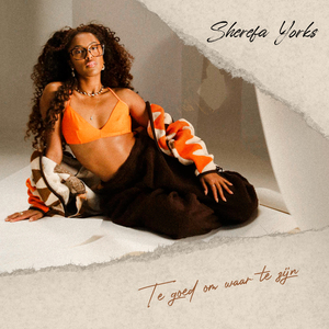 Te Goed Om Waar Te Zijn