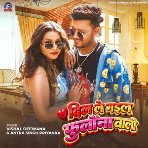 Dil Le Gail Fulauna Wali