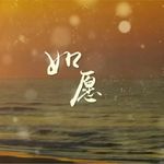 如愿（2023和声版） - 莫倾辰 专辑封面
