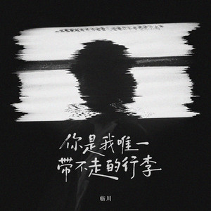 你是我唯一带不走的行李