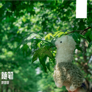 雨夜哒哒歌