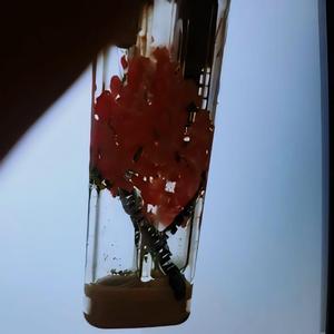 Epilogue (of a dream)