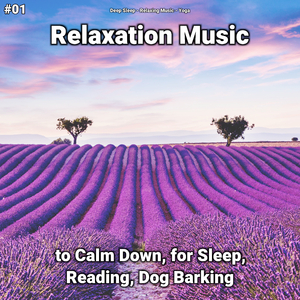 Zen Music for Concentration