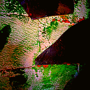 born 4 this 2 (Demo)