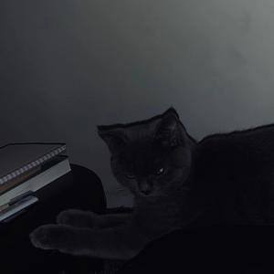 DONGO(Prod.PUNISHME)