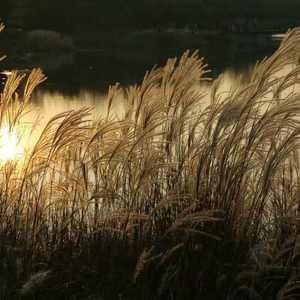 回忆录 「Prod.by sainwells」