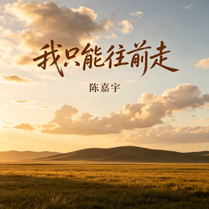 我只能往前走
