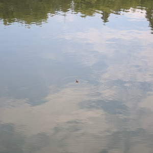 穷思竭虑的下午